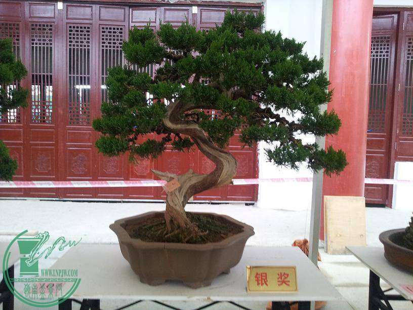 20141029_090140014.JPG