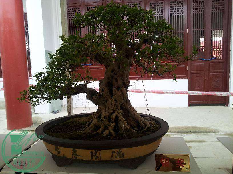 20141029_090334015.JPG