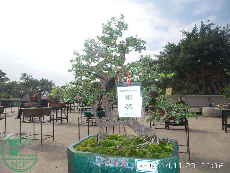 20141123_111631.jpg