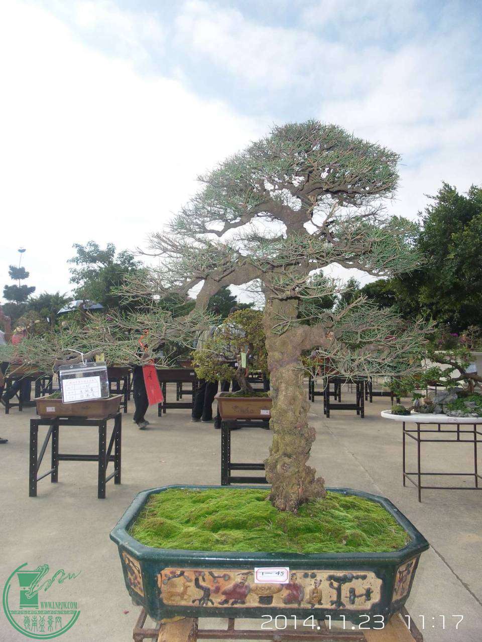 20141123_111730.jpg