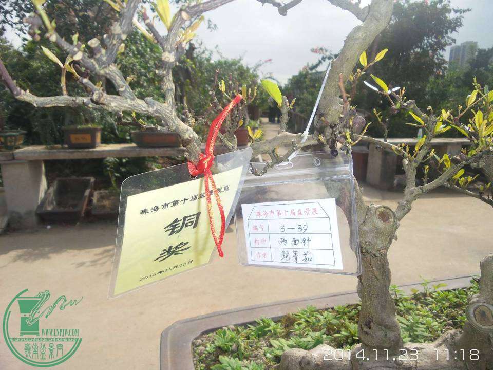 20141123_111821.jpg