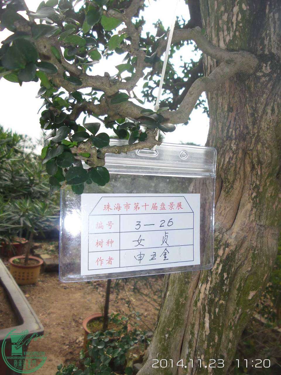 20141123_112021.jpg