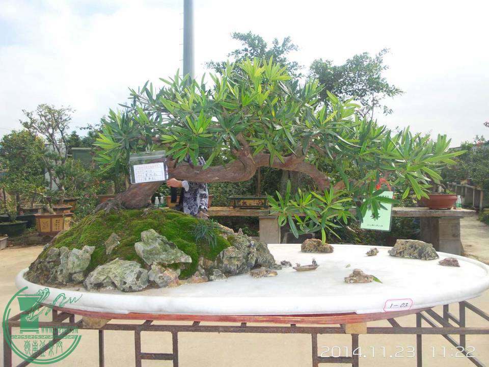 20141123_112240.jpg