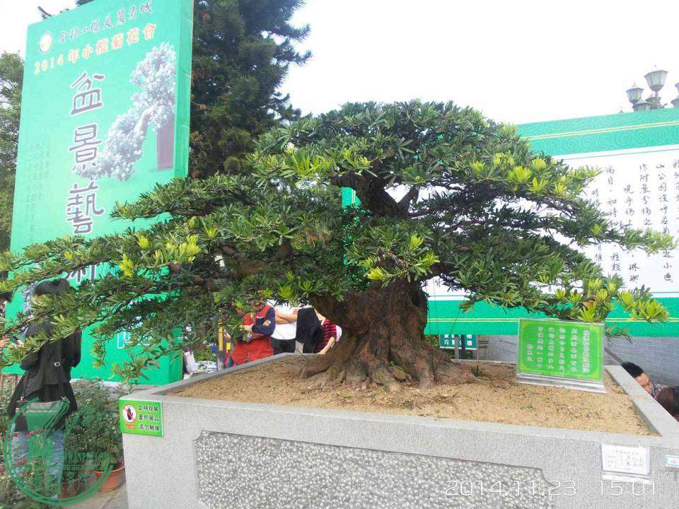 20141123_150117.jpg