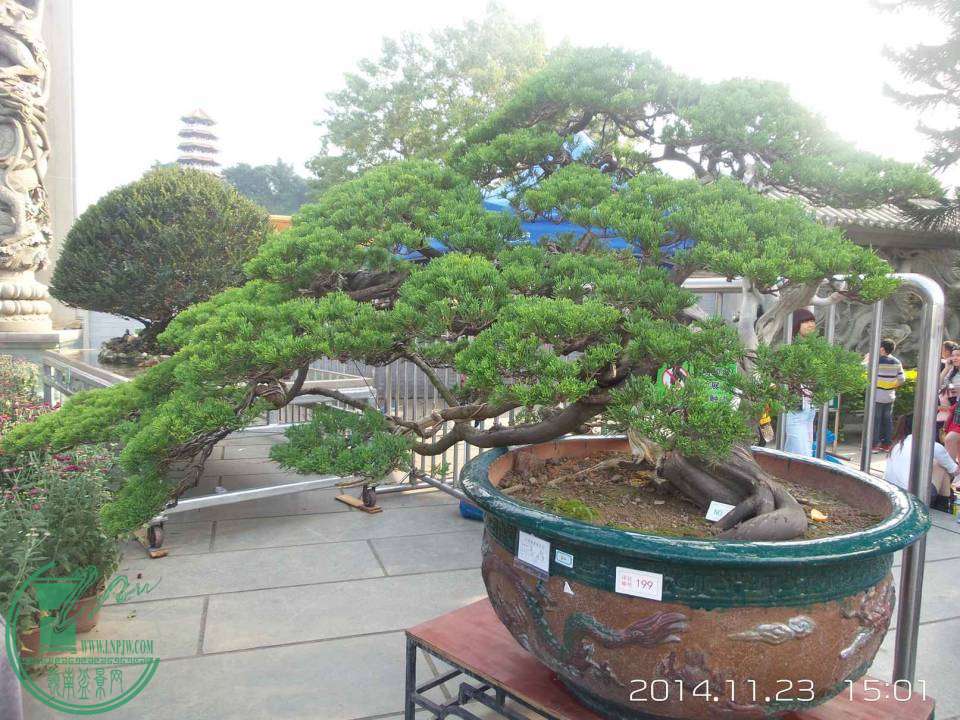 20141123_150157.jpg