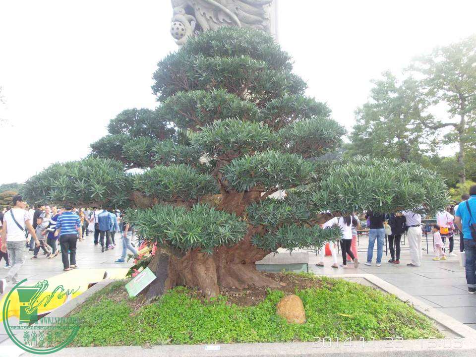 20141123_150308.jpg