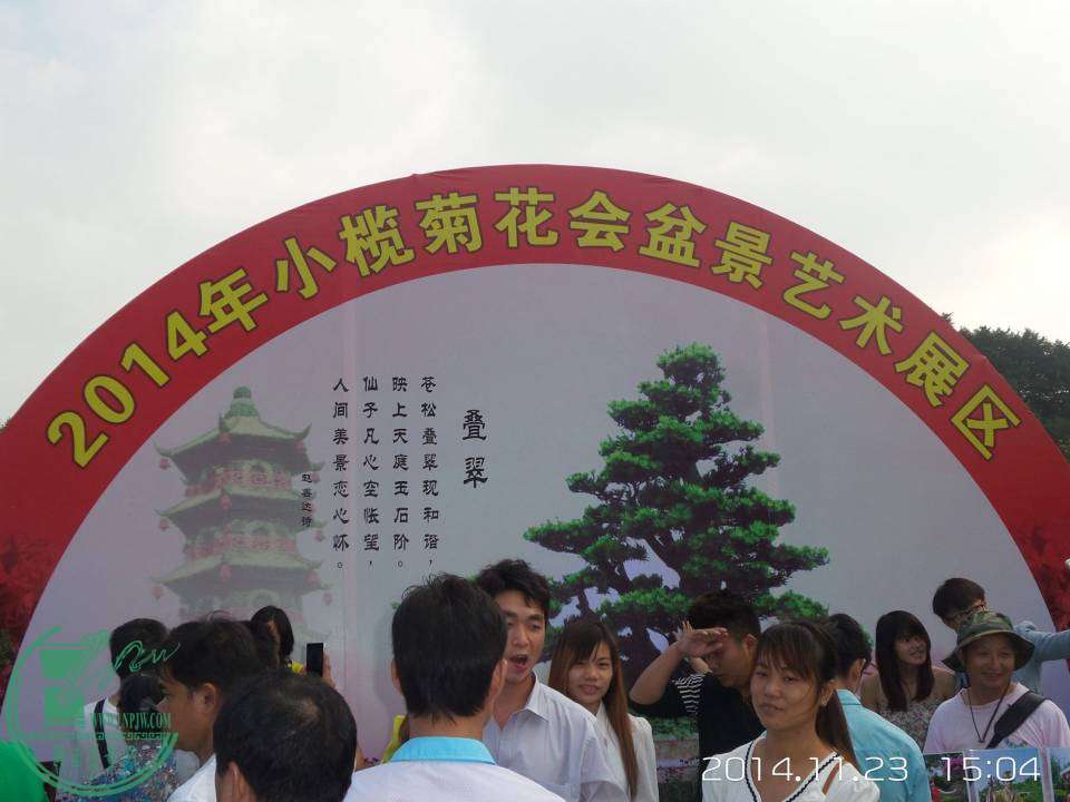 20141123_150416.jpg