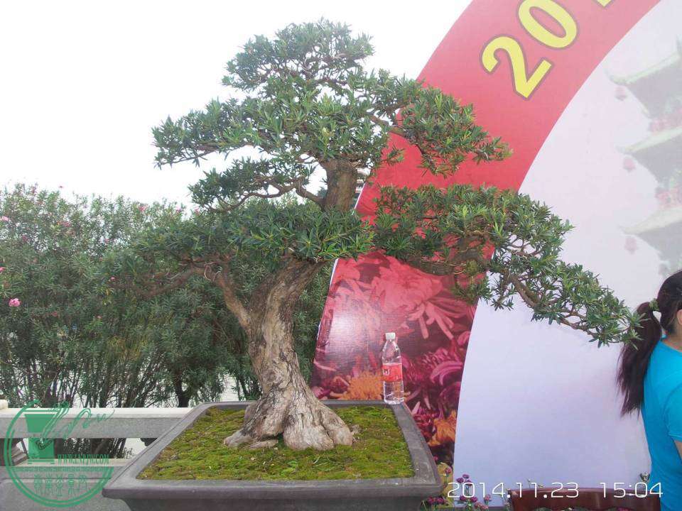 20141123_150450.jpg
