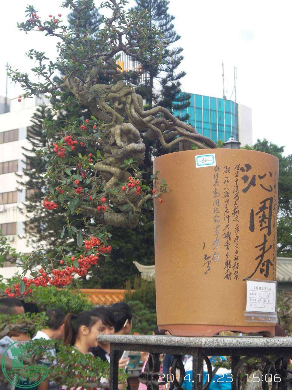 20141123_150628.jpg