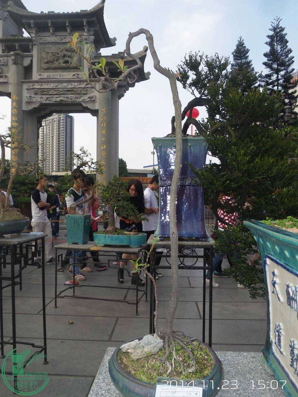 20141123_150706.jpg