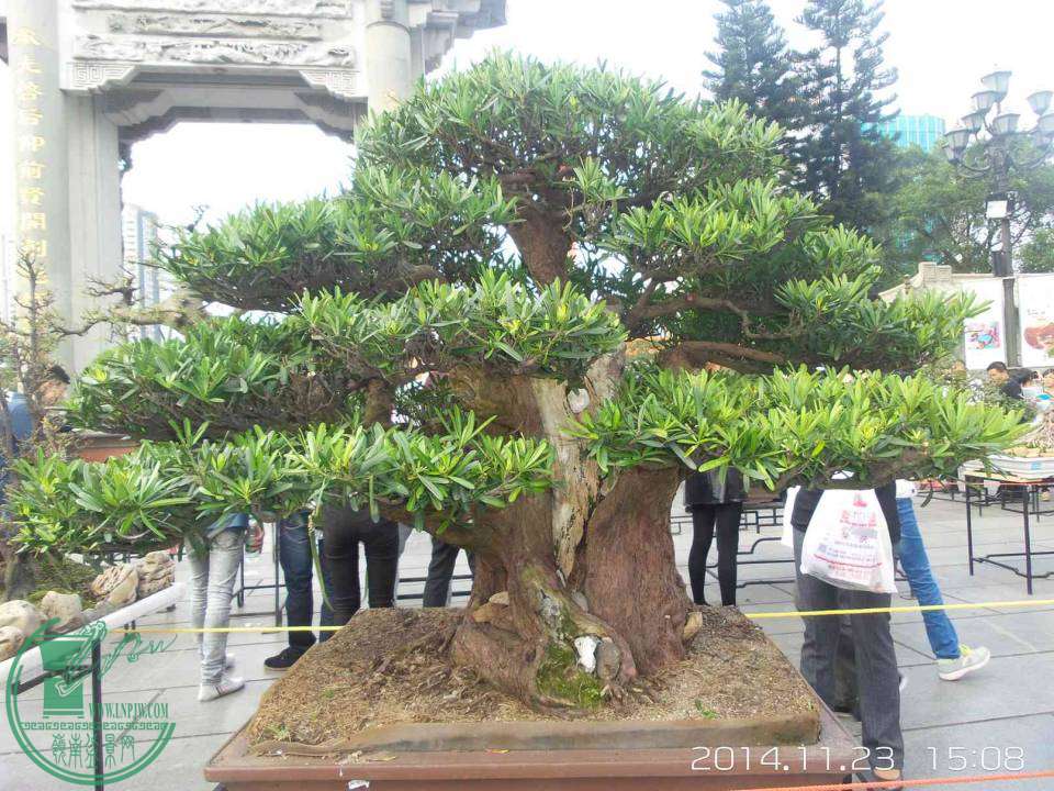 20141123_150846.jpg