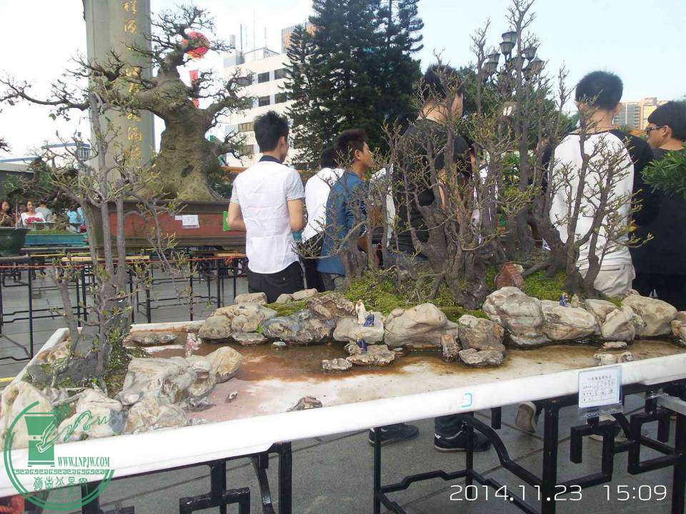 20141123_150916.jpg