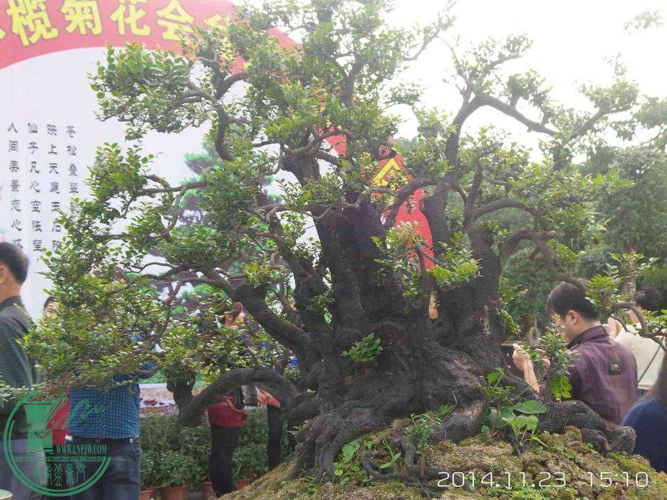 20141123_151053.jpg
