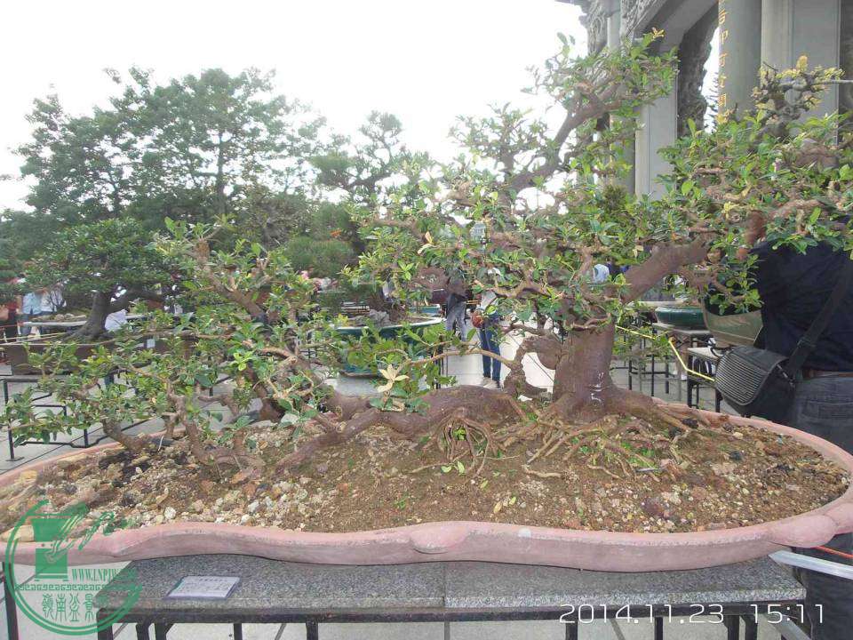 20141123_151143.jpg