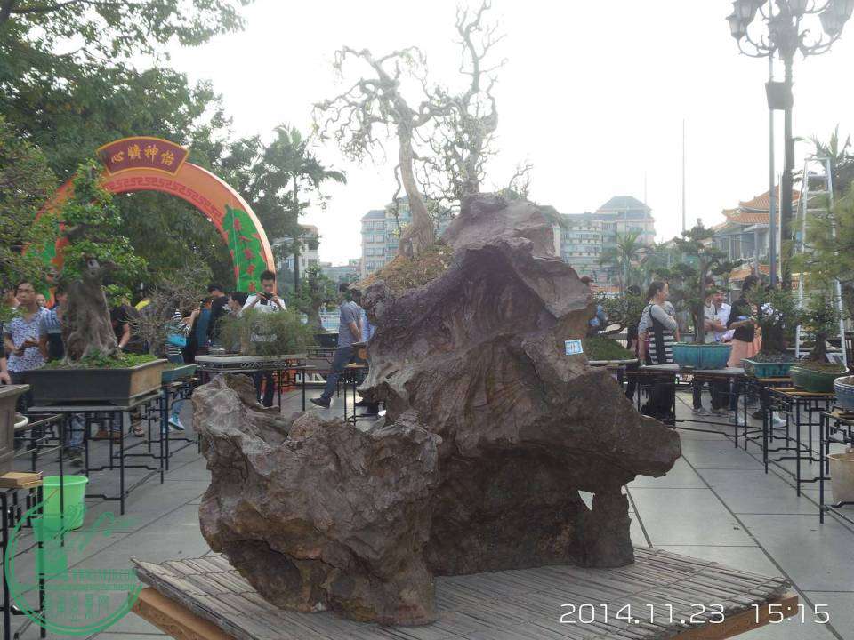 20141123_151522.jpg