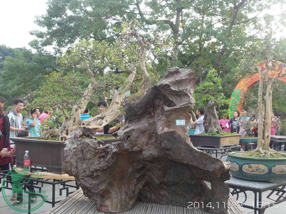 20141123_151532.jpg