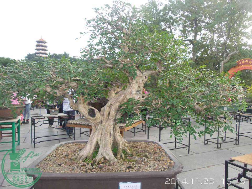 20141123_151545.jpg