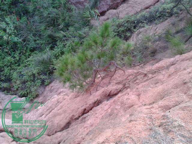 20141125_165415.jpg