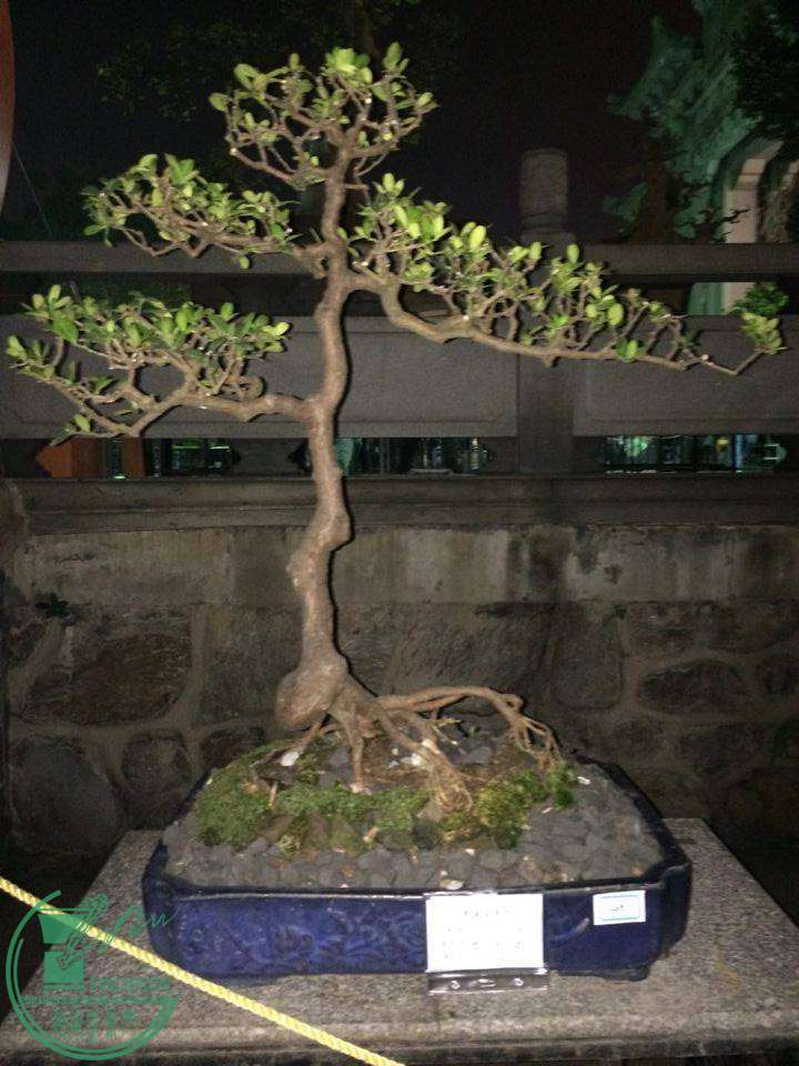 QQͼƬ20141126232506.jpg