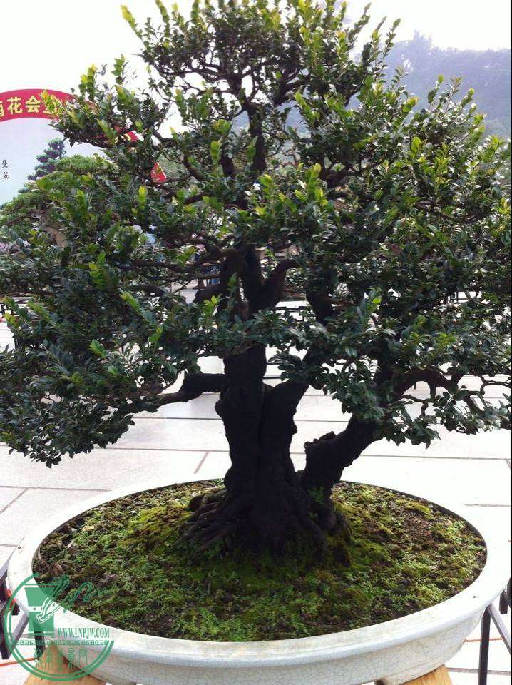 QQͼƬ20141126232246.jpg
