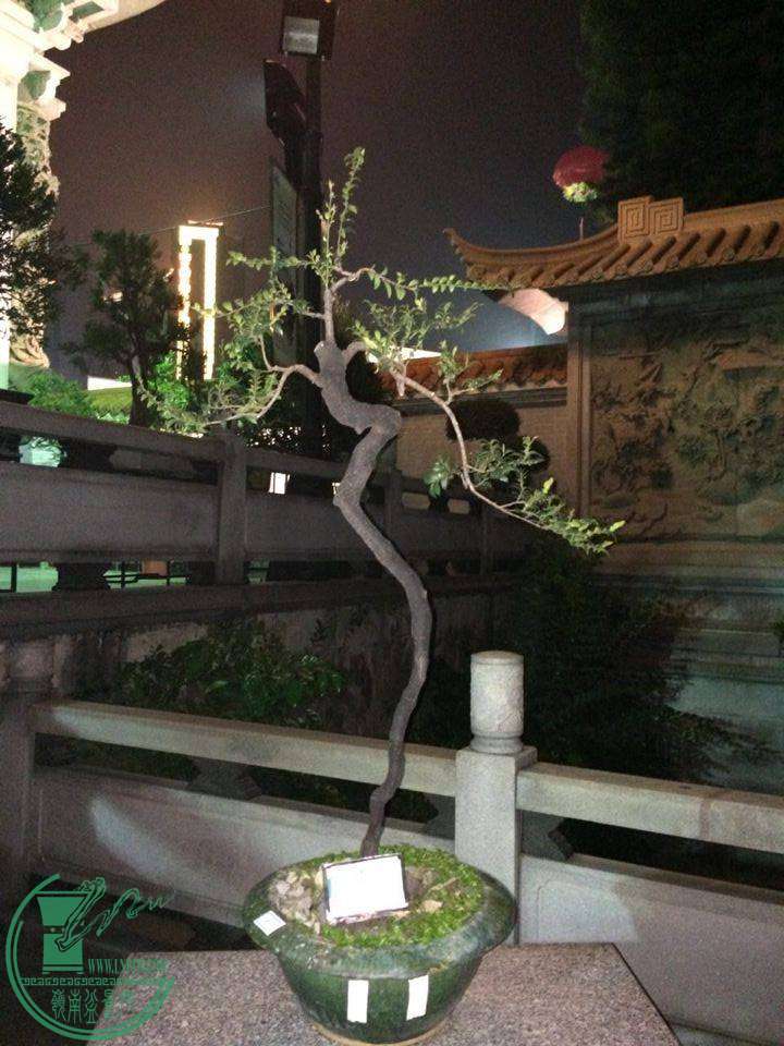 QQͼƬ20141126232451.jpg