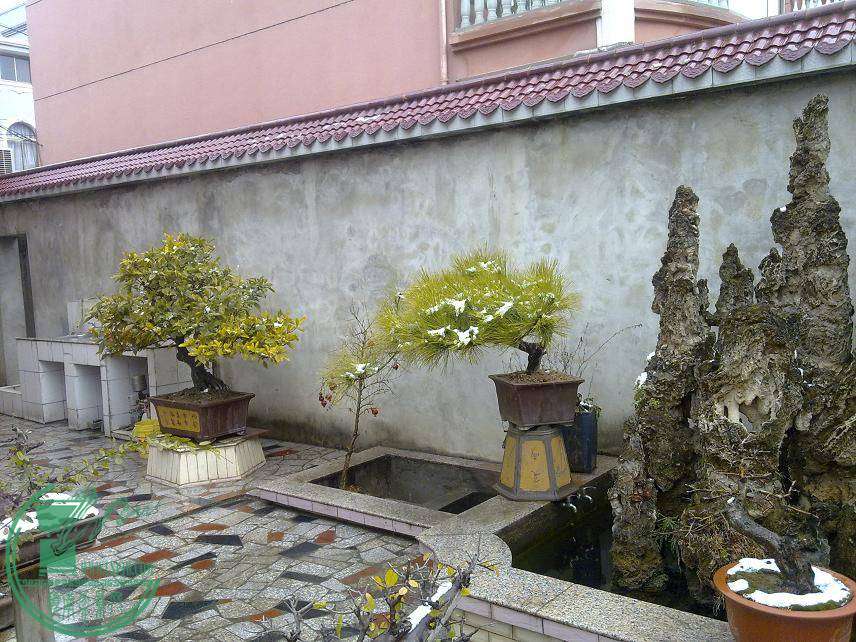 20110128212.jpg