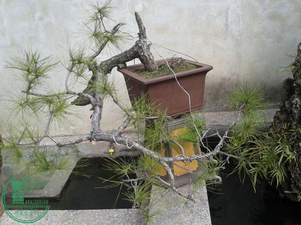 20140303_134704.jpg