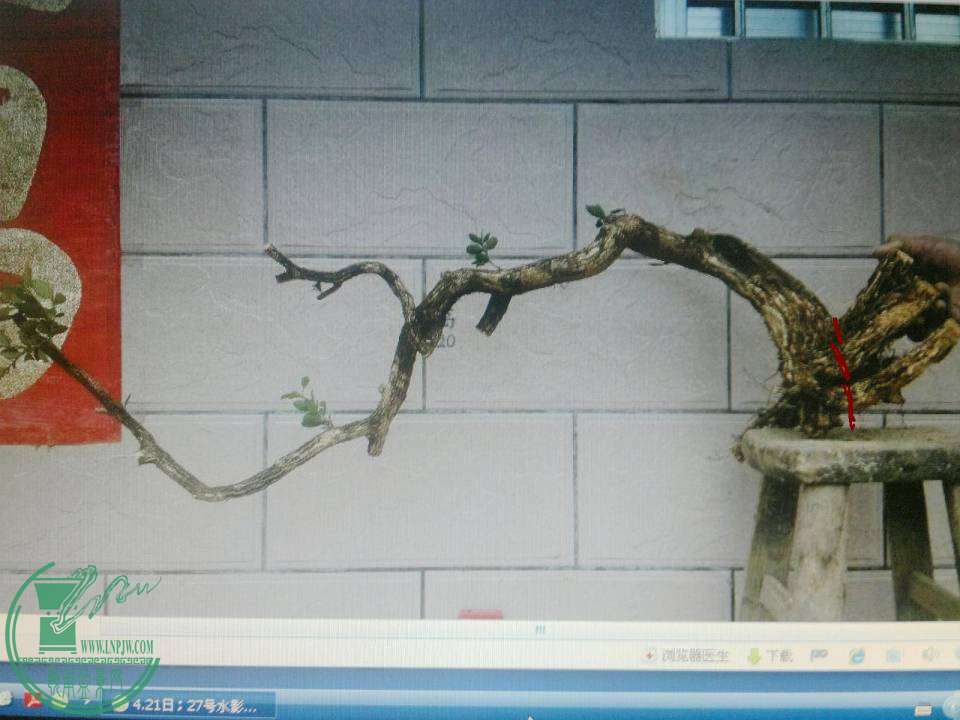 201404231934.jpg