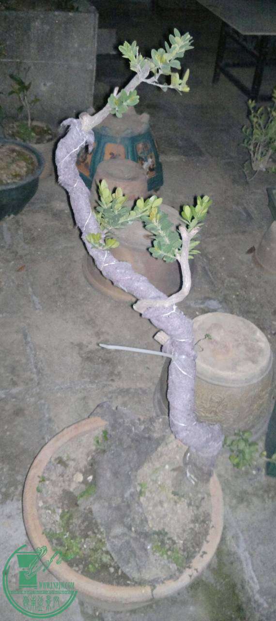 201411272295.jpg