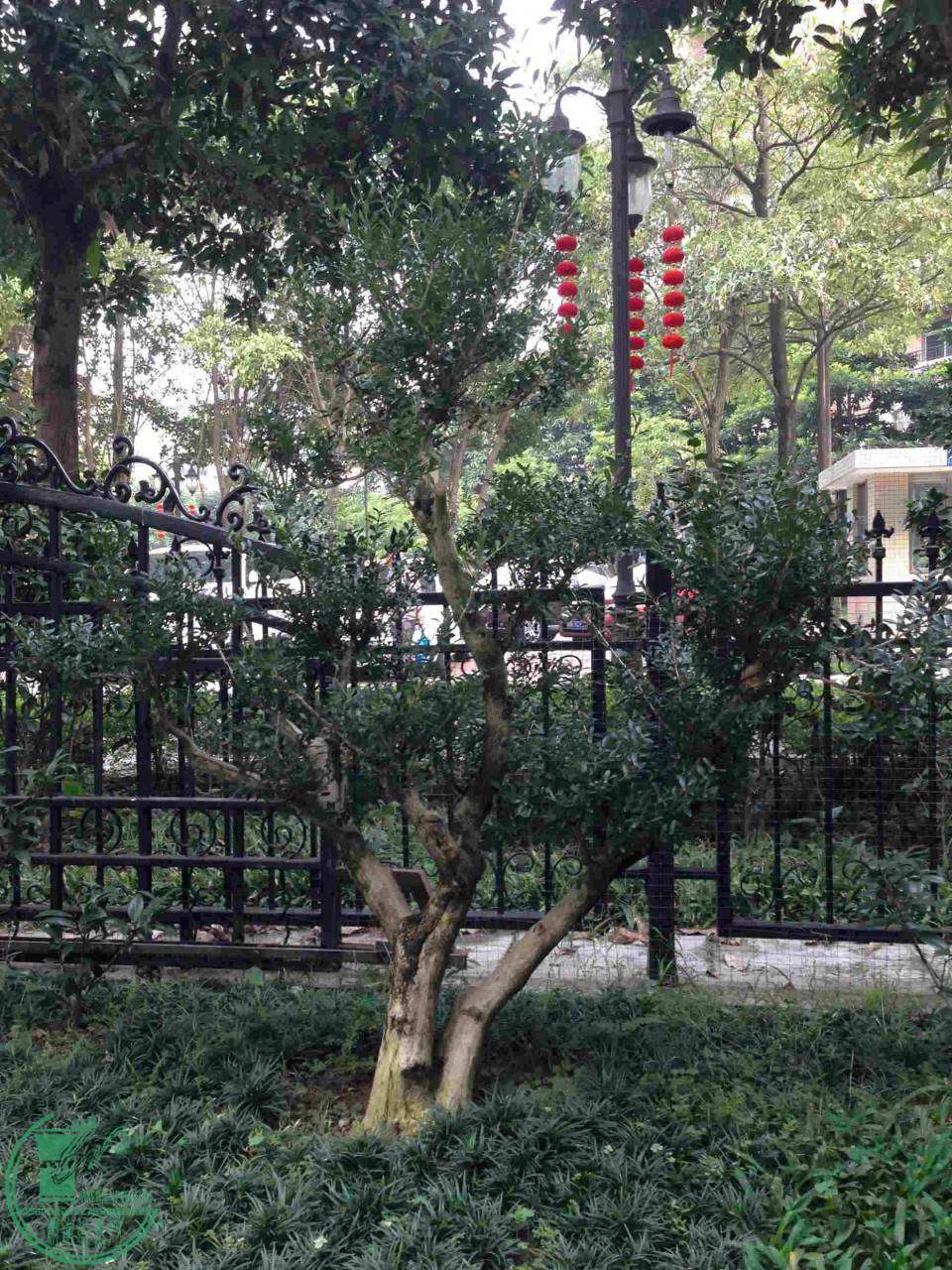 ҵ辰 018.jpg
