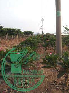 20141031_162941__.jpg