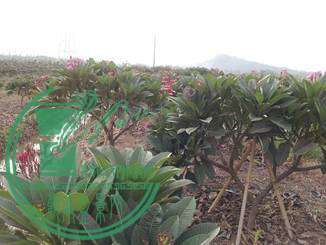 20141031_163504_.jpg