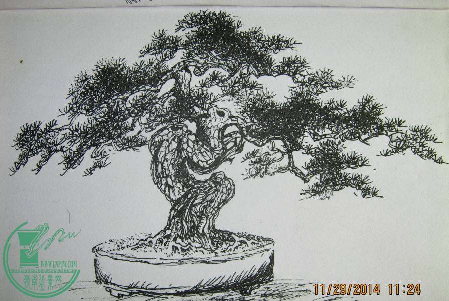QQͼƬ20141129151147.jpg