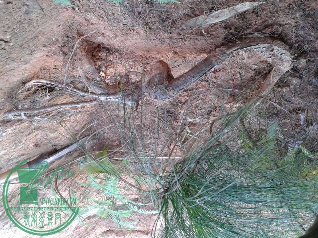 20141129_090819.jpg
