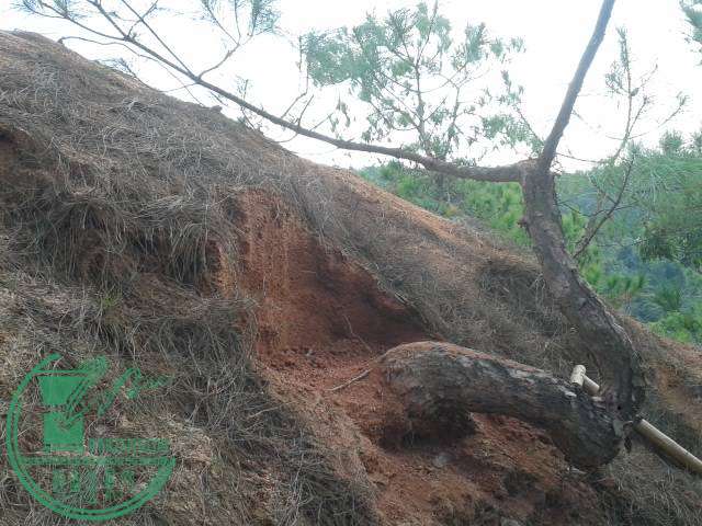 20141129_125800.jpg
