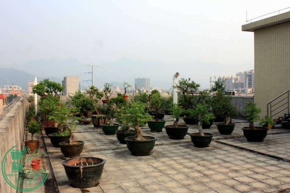 20140724 003.jpg