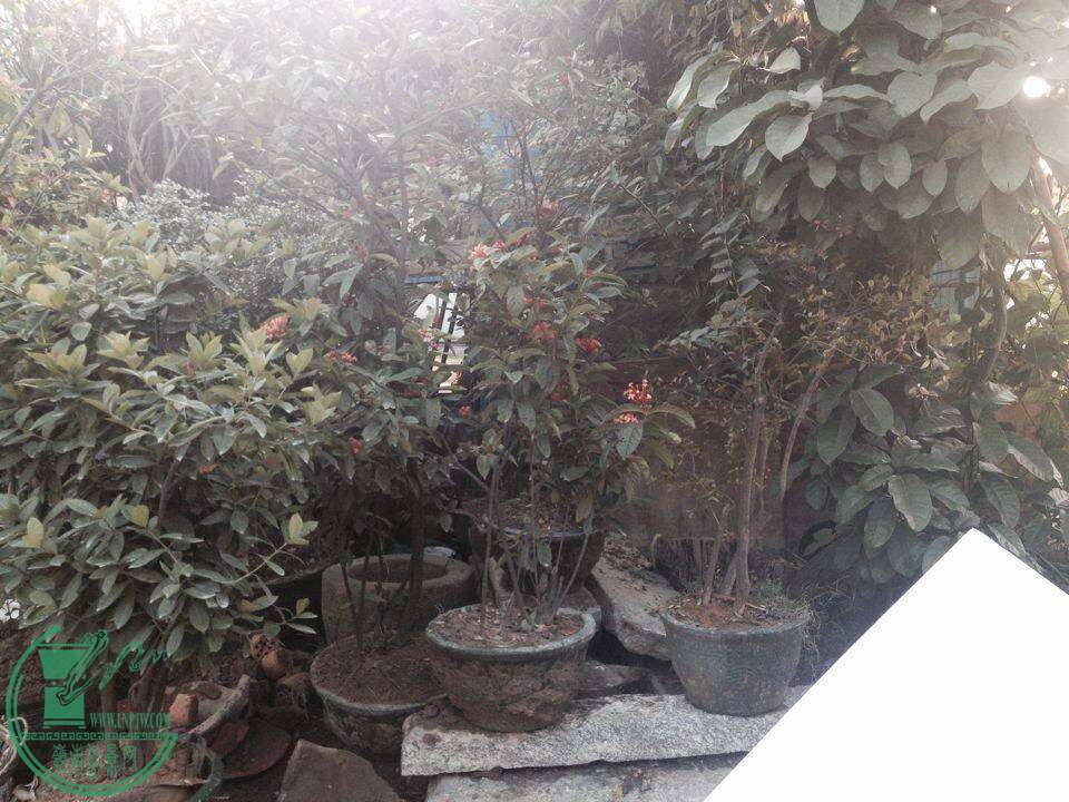 QQͼƬ20141130144843.jpg