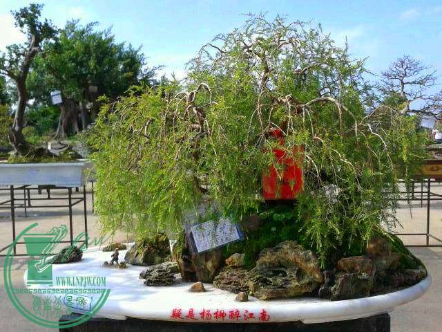 QQͼƬ20141201094957.jpg