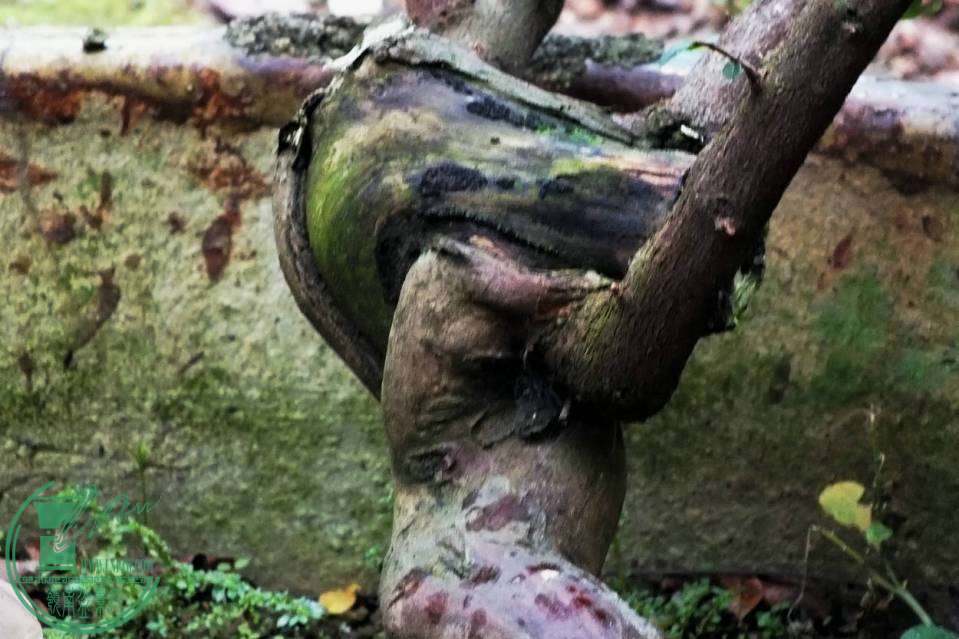 003.JPG