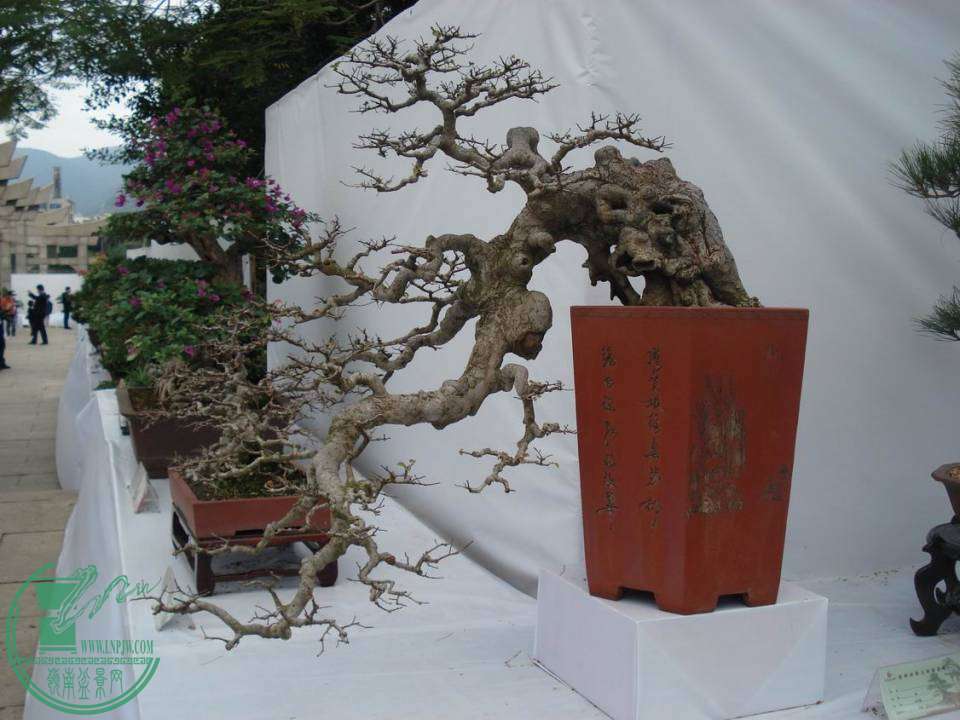 С DSC00014.JPG