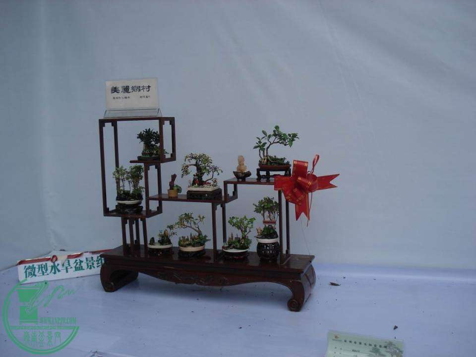 С DSC00046.JPG