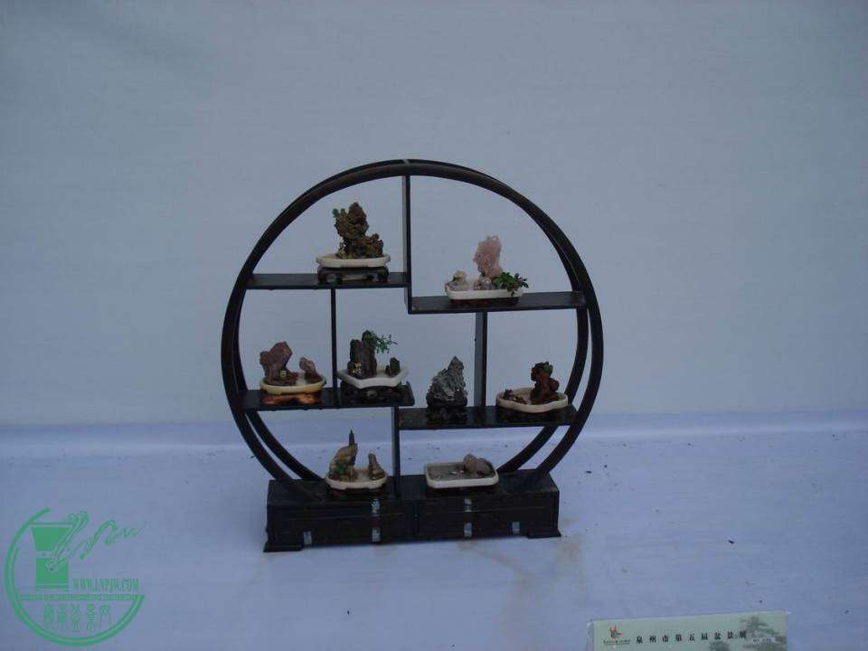 С DSC00047.JPG