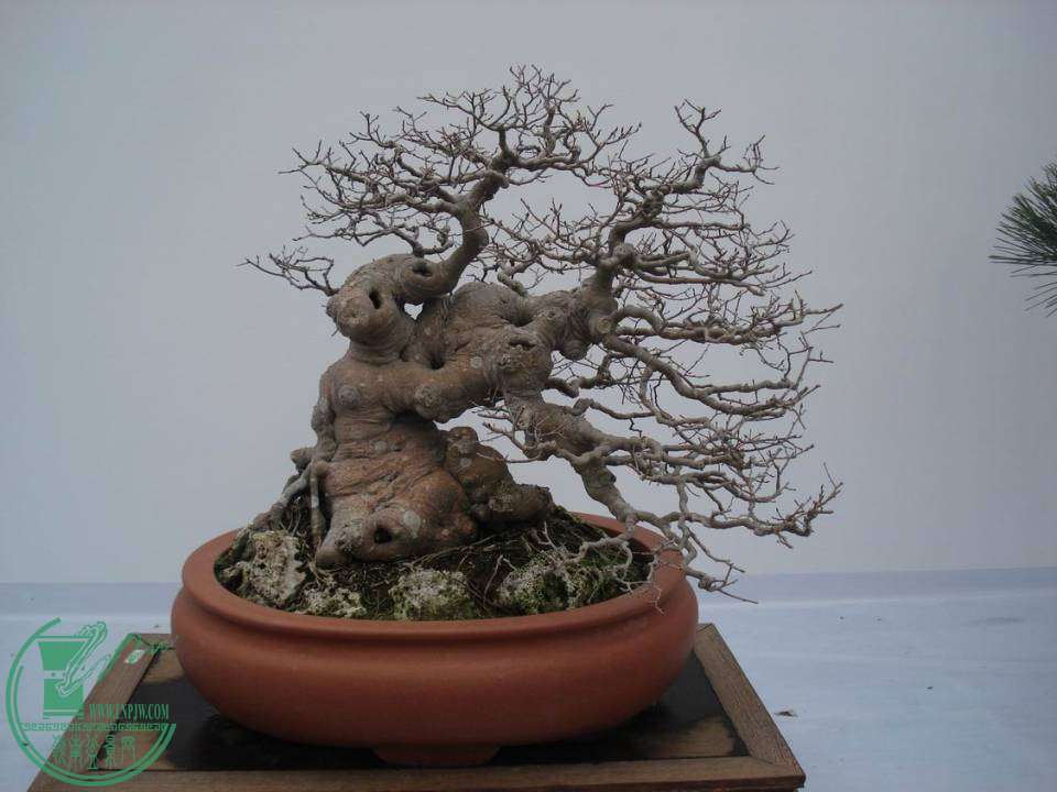 С DSC00069.JPG