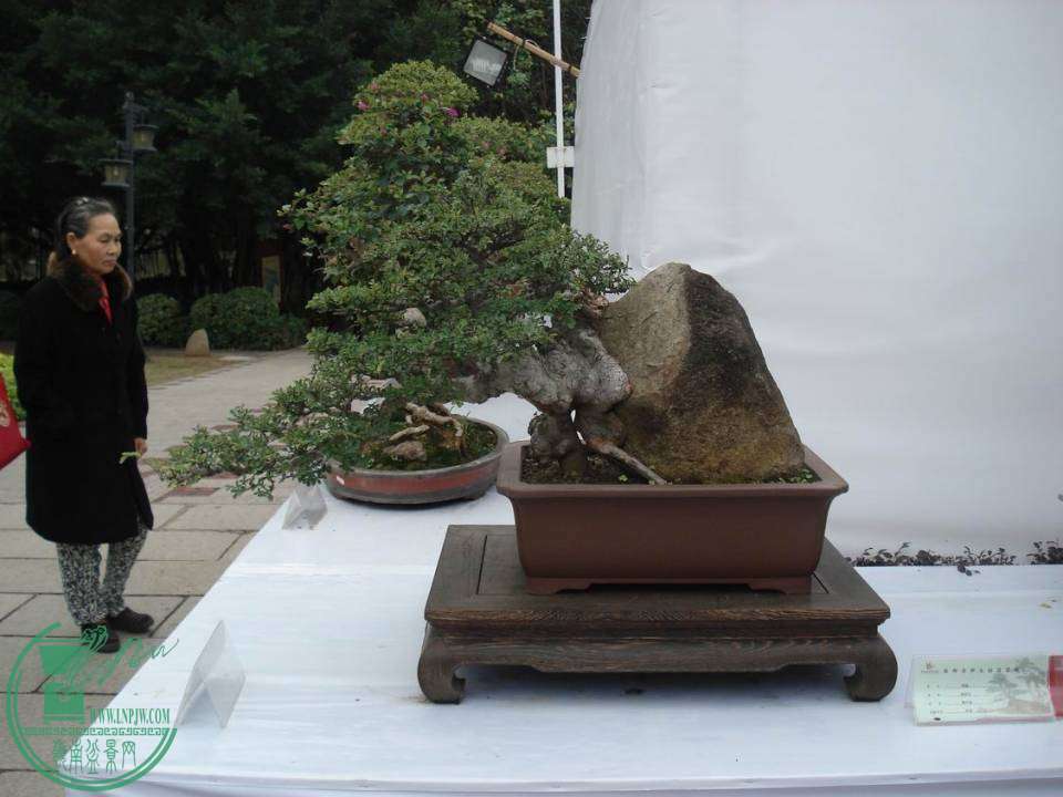 С DSC00088.JPG