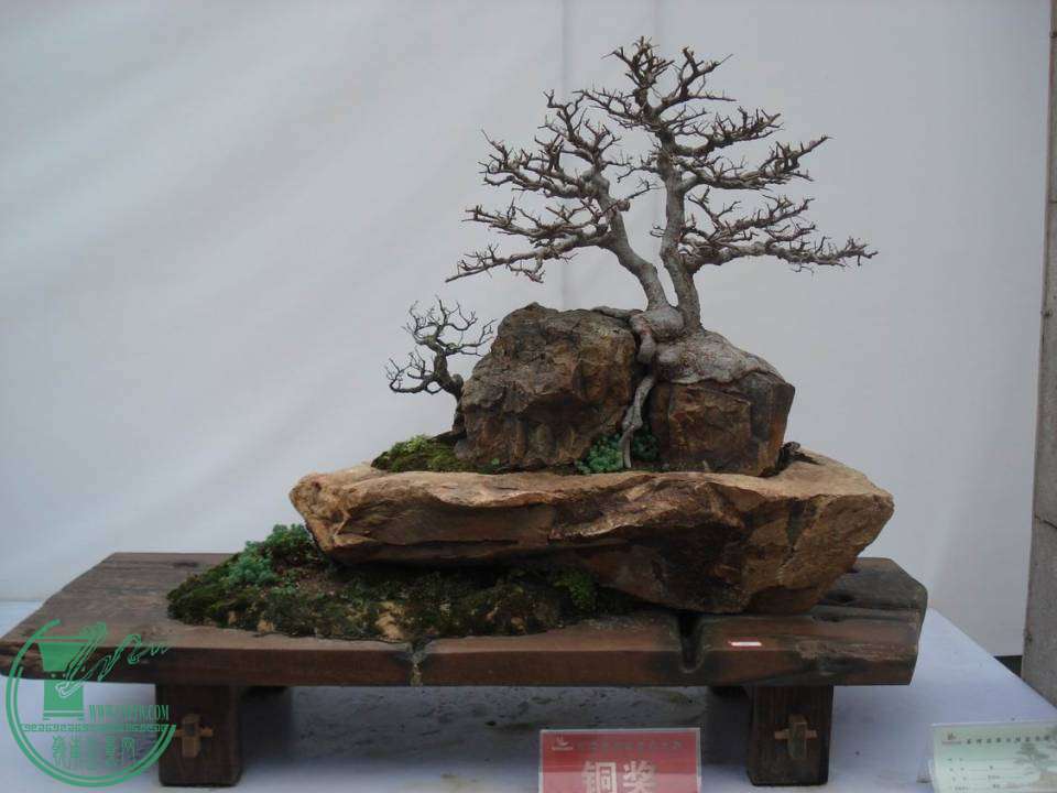 С DSC00092.JPG