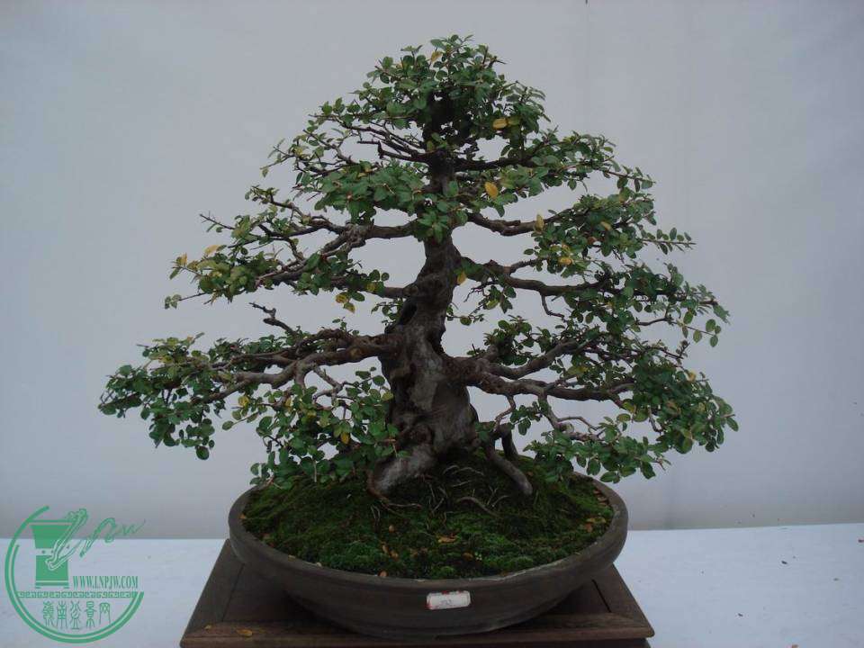 С DSC00097.JPG