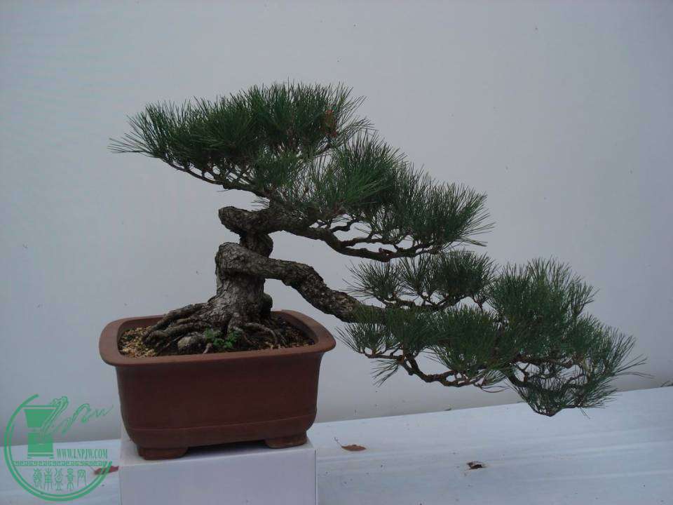 С DSC00104.JPG