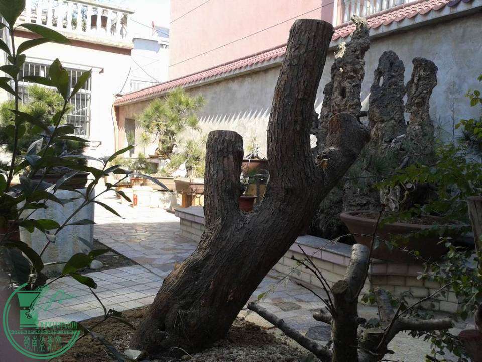 20140122_115035.jpg