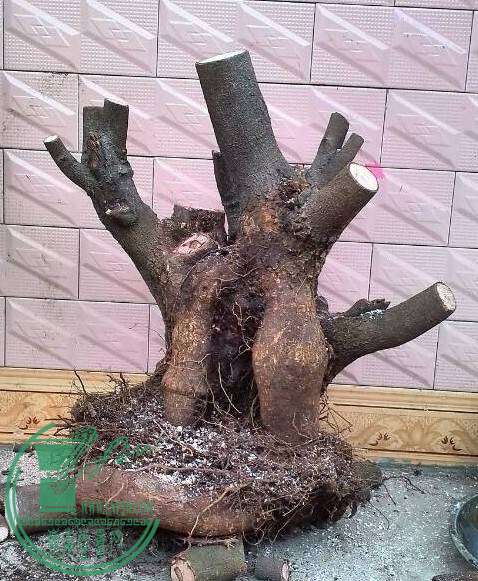 С20140311.jpg