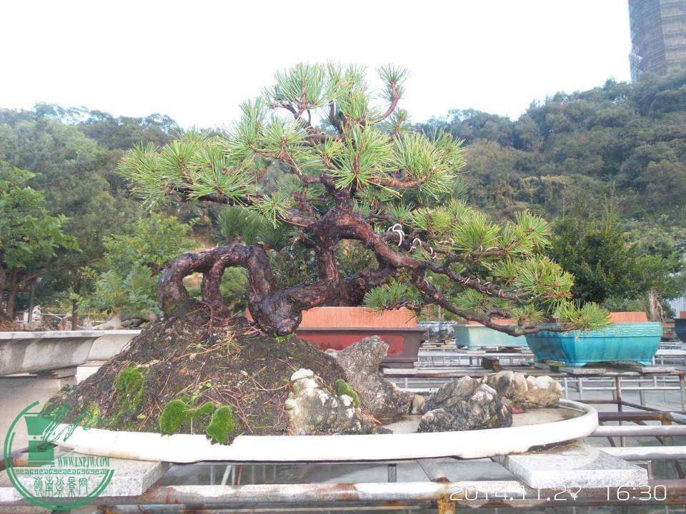 20141127_163034.jpg